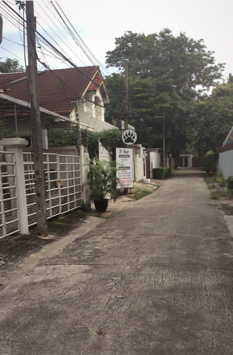 Shop Photos at Dr. Bear 31 (Dr. Bear Massage)